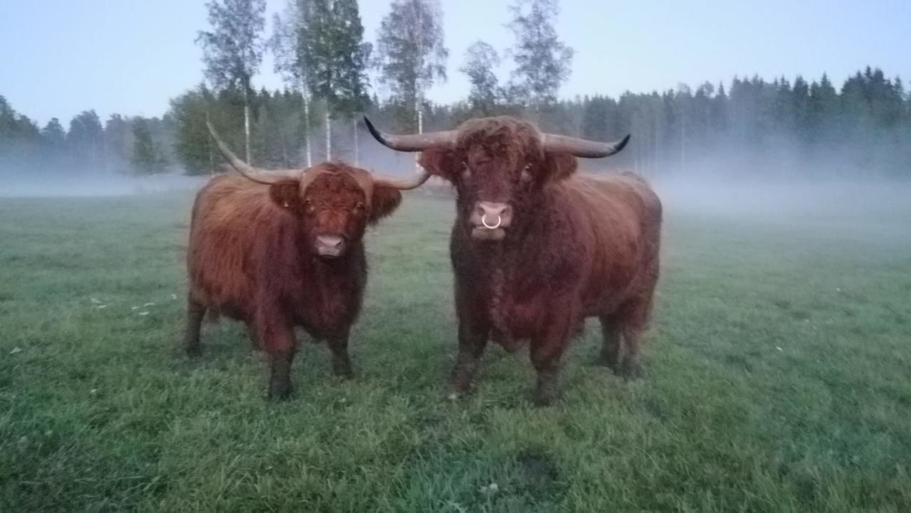 Дома для отпуска Isotalo Farm at enäjärvi lake Сало-24