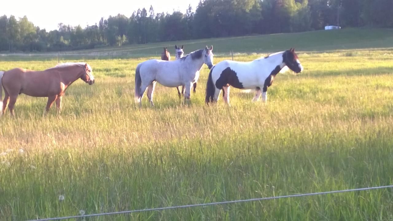 Дома для отпуска Isotalo Farm at enäjärvi lake Сало-28